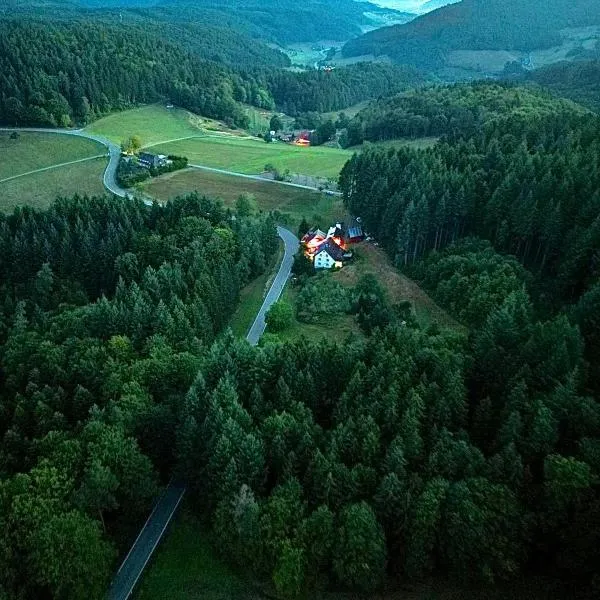 Ferien im Schwarzwald Freiamt，位于Freiamt的酒店