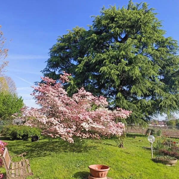 B&B Il Melograno，位于洛马佐的酒店