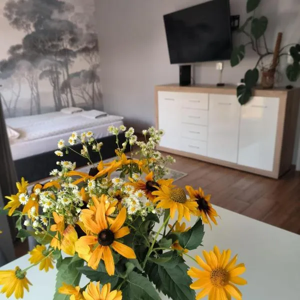 Apartament 25 Mikołajki，位于米科瓦伊基的酒店