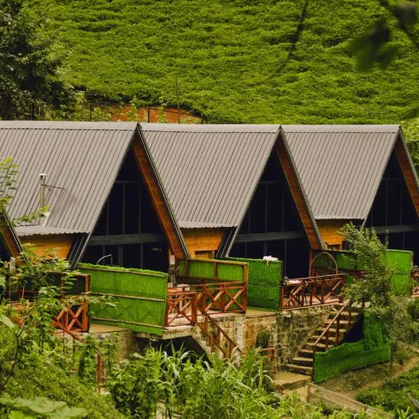 Waterfallbungalow，位于Çamlıhemşin的酒店