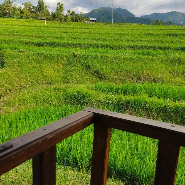 Pondok Pengaringan Loon，位于Gitgit的酒店