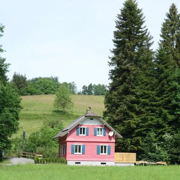 Erwins Ferien Paradies，位于Diezlings的酒店