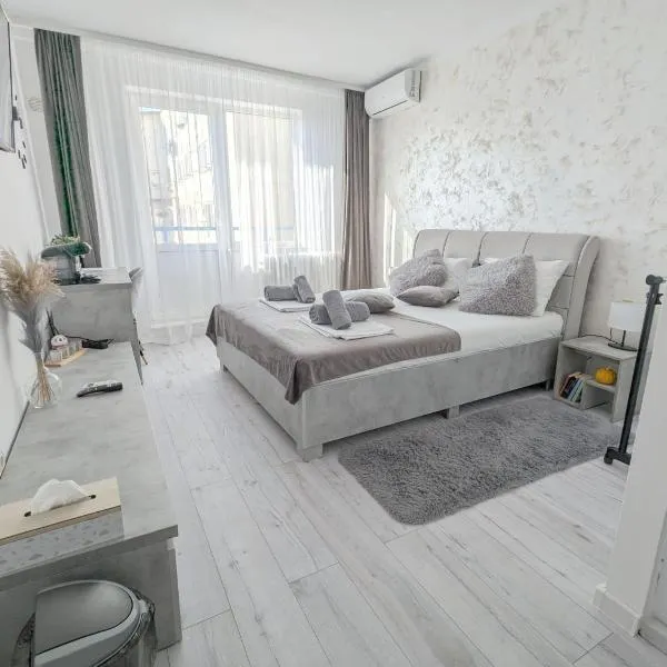 TS Room，位于阿尔杰什河畔库尔泰亚的酒店