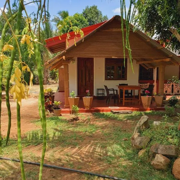 Jungle Eco Lodge & Safari，位于锡吉里亚的酒店