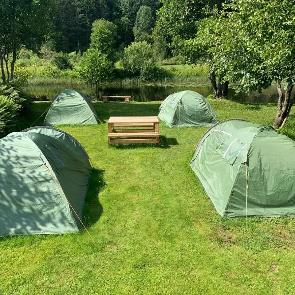 Riverside Bliss Idyllic Camp, 3 Man Tent Incl, near Tvedestrand and Arendal，位于Vegårshei的酒店