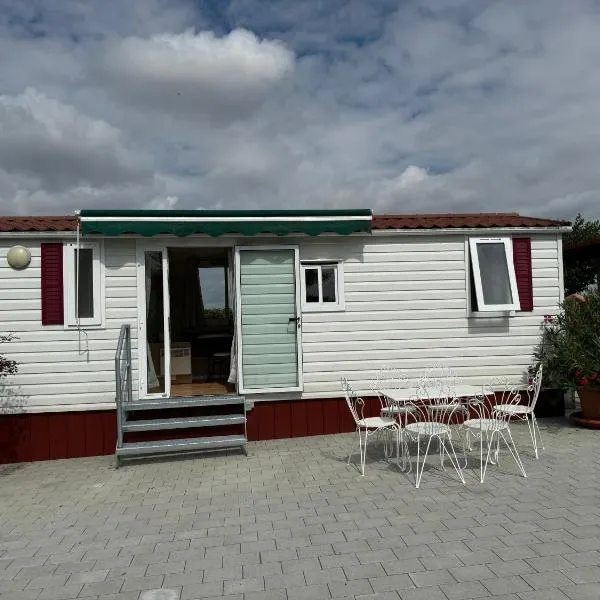 Mobilheim Tinyhouse，位于Gallmersgarten的酒店