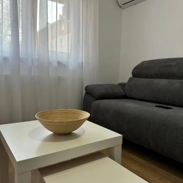 Central Studio，位于梅迪亚什的酒店