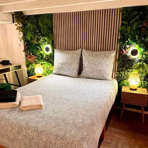 Jungle Love Room avec Jaccuzi au coeur de Nice，位于尼斯的酒店