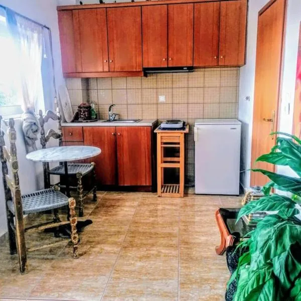 35sm Studio in Rachais Kiparissia sea View，位于基帕里夏的酒店