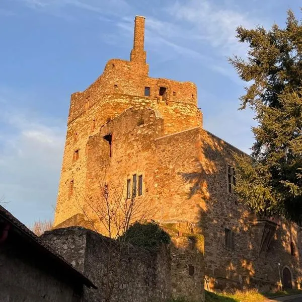 Burg Hermannstein - Rittersaal，位于Waldsolms的酒店