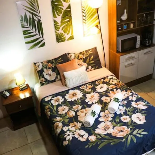 Amelia Inn Apartment，位于马那瓜的酒店