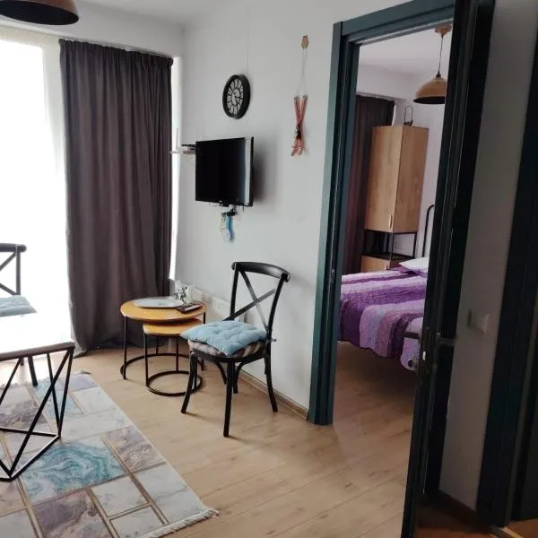 Apart Hotel ART，位于巴库里阿尼的酒店