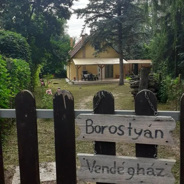 Borostyán Vendégház，位于Tiszasas的酒店