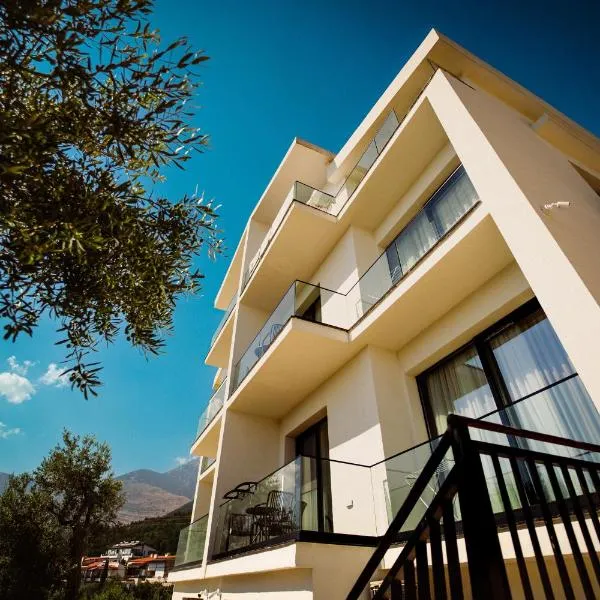 Hotel Vila 19，位于德尔米的酒店