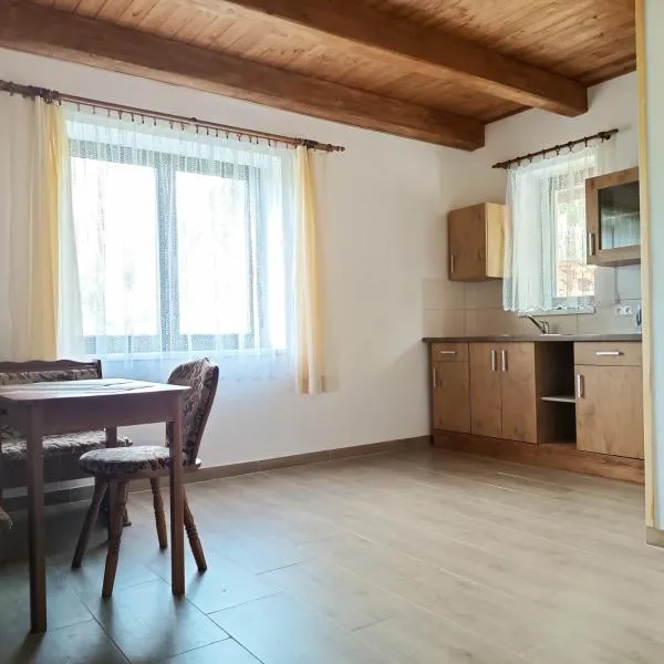 Apartmán Karhule (pod Blaníkem)，位于Pravonín的酒店
