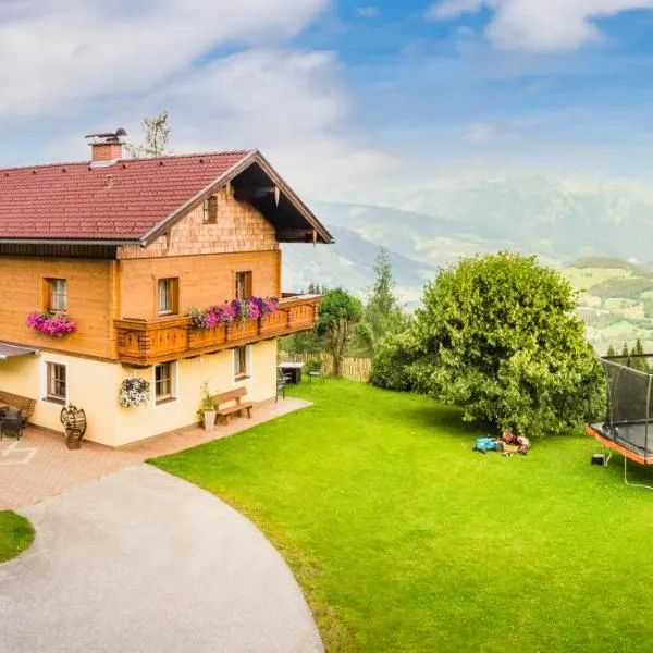 Panorama Chalet mit Sauna Höllmaishof，位于比绍夫斯霍芬的酒店