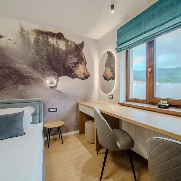 Montello Guest House，位于布拉索夫的酒店