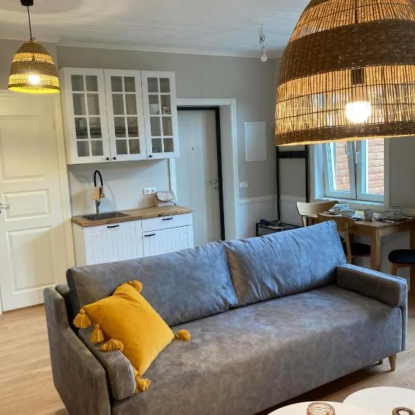 Linnupesa Apartment，位于维尔扬迪的酒店