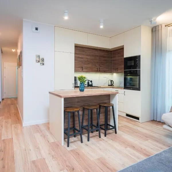 Warmiński Port by RENT4YOU，位于奥尔什丁的酒店