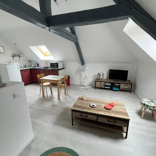 Appartement avec cours，位于Saint-Brisson-sur-Loire的酒店
