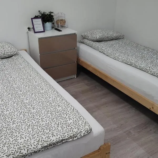 Apartamenty Na Plażowej，位于扎涅梅希尔的酒店