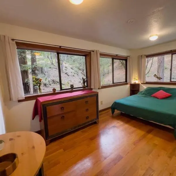 Little House in the Redwoods with a hot tub!，位于加伯维尔的酒店