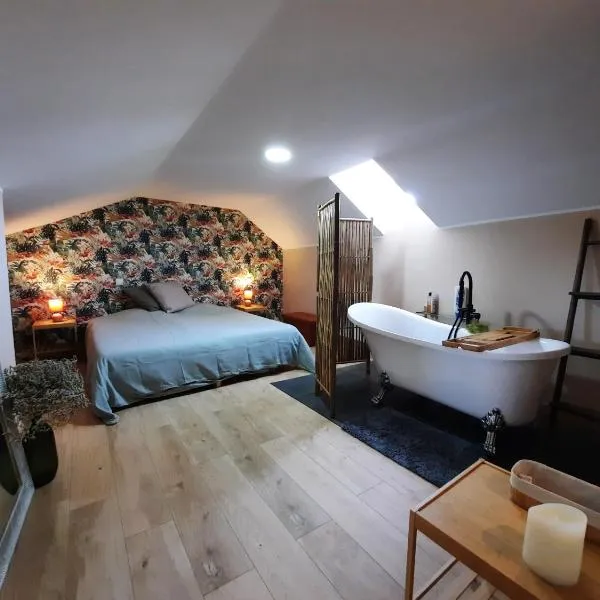 Chambre Cosy indépendante sans cuisine，位于蒙卢伊的酒店