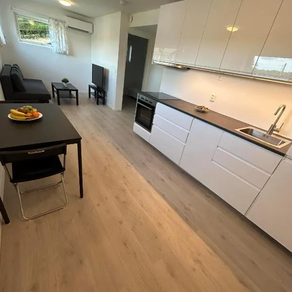 Temis apartment, private new 2 rooms with lagre kitchen, share with nobody，位于Bærums Verk的酒店