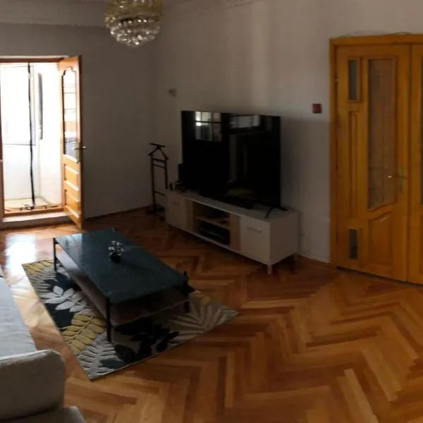 Apartament Axa Brâncuși，位于塔古玖的酒店