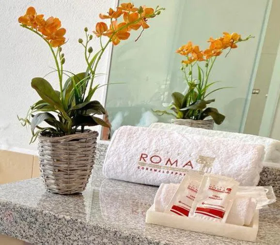 Hotel Roma,位于Cosamaloapan de Carpio的酒店