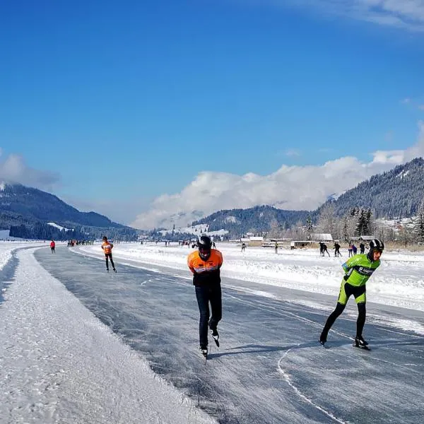 Premium Apartments am Weißensee，位于魏森湖的酒店