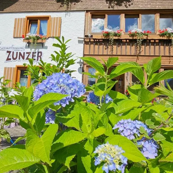 Ferienwohnung Zunzer，位于里茨勒恩的酒店