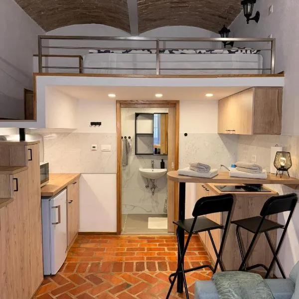 Zenroom Apartments，位于卢布尔雅那的酒店