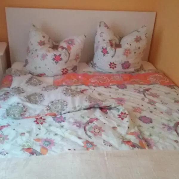 Ferienwohnung im Kapitänsgarten in Prerow，位于普雷罗的酒店