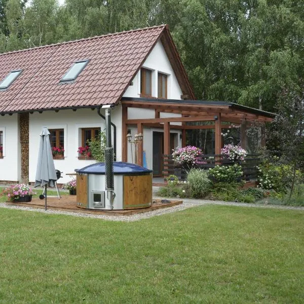 Large Holiday Home Czapiewice，位于Dziemiany的酒店