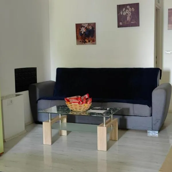 DIVLJI RAJ studio，位于Mali Mokri Lug的酒店
