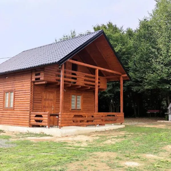 Brvnara Gold Hill，位于普里耶多尔的酒店