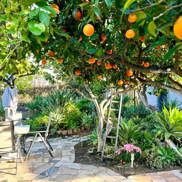 BellaLimone，位于卡拉塔比亚诺的酒店