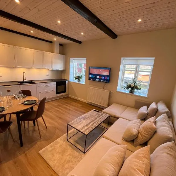 Luxurious apartment in Manor House，位于Bælum的酒店