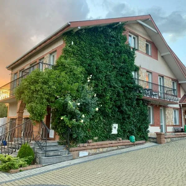 Apartament na Łąkowej，位于戈斯蒂宁的酒店
