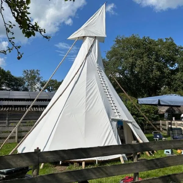 Tipi tent，位于Wijster的酒店