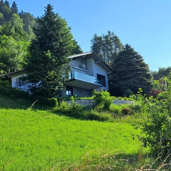 Ferienhaus Berg'nSee，位于Oberaichwald的酒店