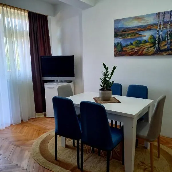 Apartman KEJ 64qm，位于弗拉西纳里德的酒店