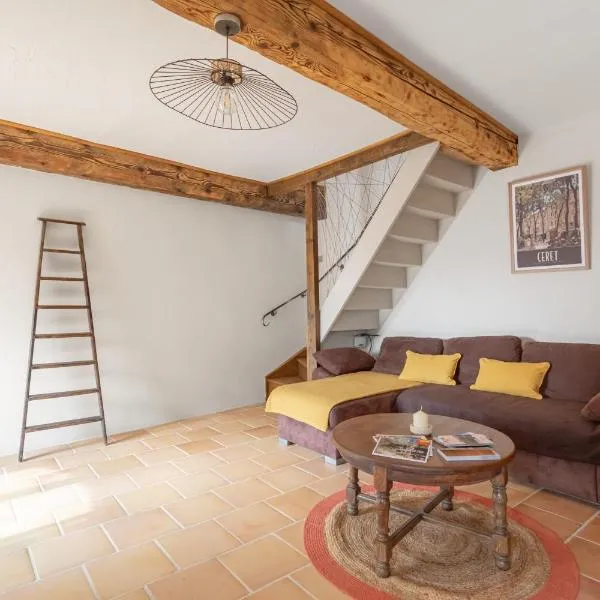 Mas Vizern avec bain nordique，位于Taillet的酒店