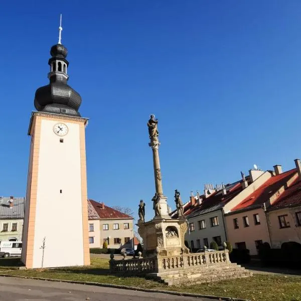 Apartmán na náměstí，位于赫拉尼采的酒店