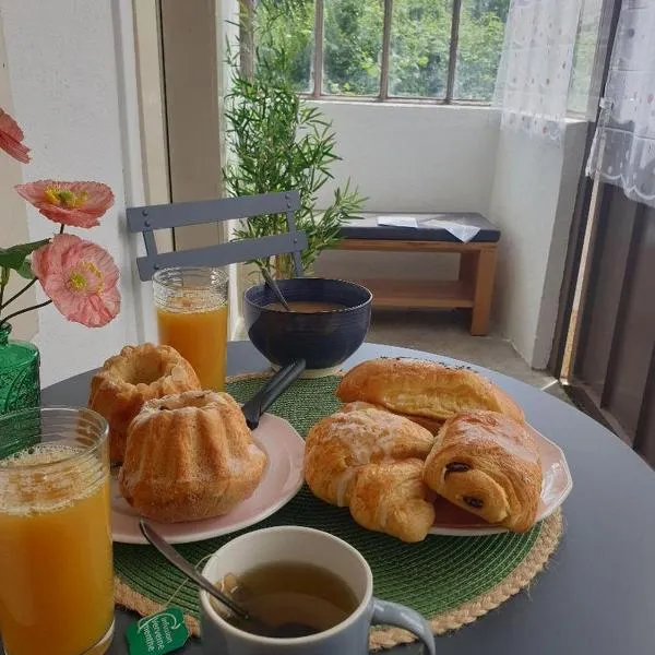 Coquette Maison, Côté Château à Mutzig en Alsace，位于米齐格的酒店