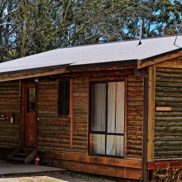 Cabin 1 - Snowy Accommodation，位于阿达米纳比的酒店