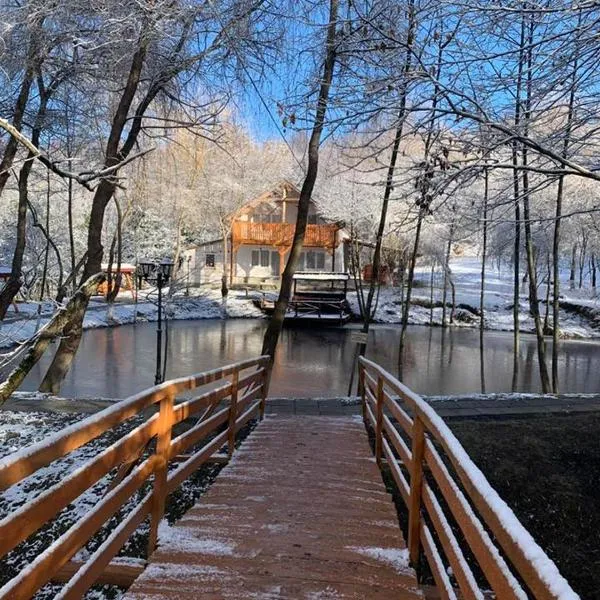 Resort Codrii Vlasinului - Eurosan，位于Valcău de Sus的酒店