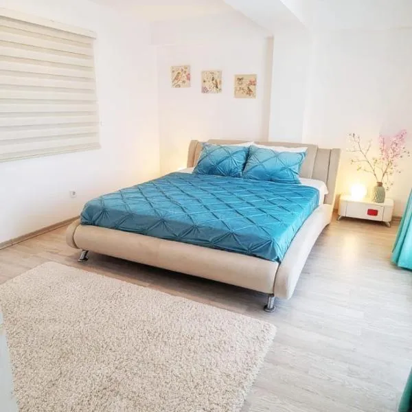 Airport Apartment 70 squared meters，位于奥托佩尼的酒店