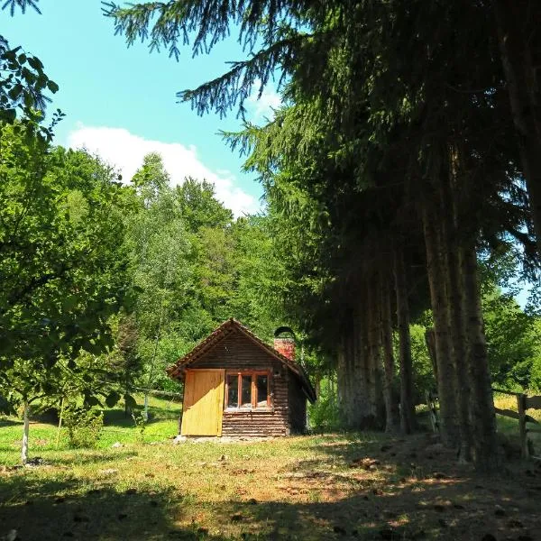 Planinska kuća Palačinka，位于Zlača的酒店